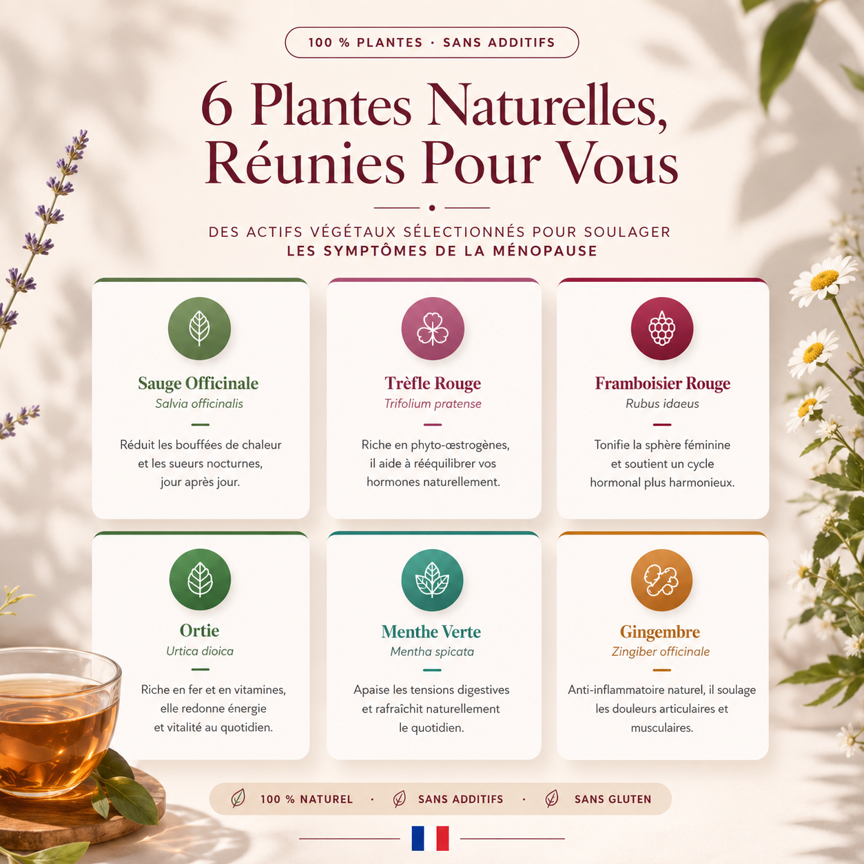 Thé Ménopause™ – Bouffées de Chaleur, Sommeil & Équilibre Hormonal